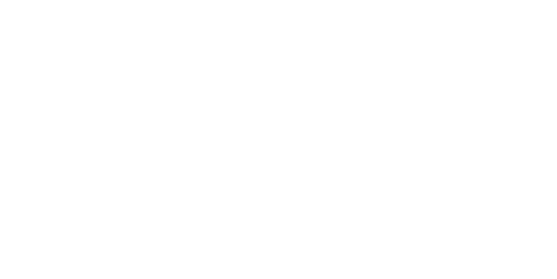 De Twaalfde Man